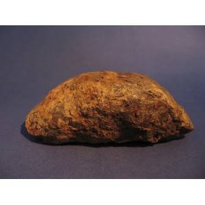 Muonionalusta Meteorite complete specimen 897g