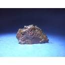 Muonionalusta Meteorite slice 10.5g