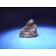 Muonionalusta Meteorite slice 4.6g