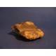 Muonionalusta Meteorite oxidated crust 59g