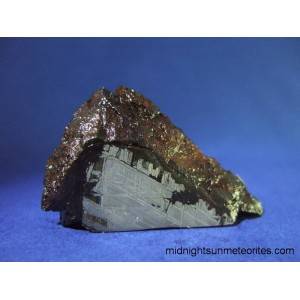 Muonionalusta Meteorite 40.6g
