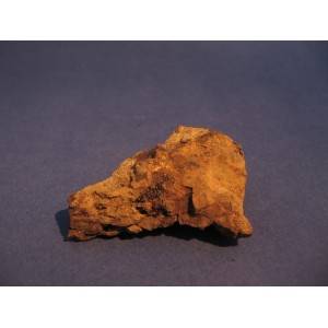 Muonionalusta Meteorite complete specimen 49g