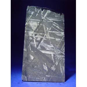 Muonionalusta Meteorite slice 62.7g
